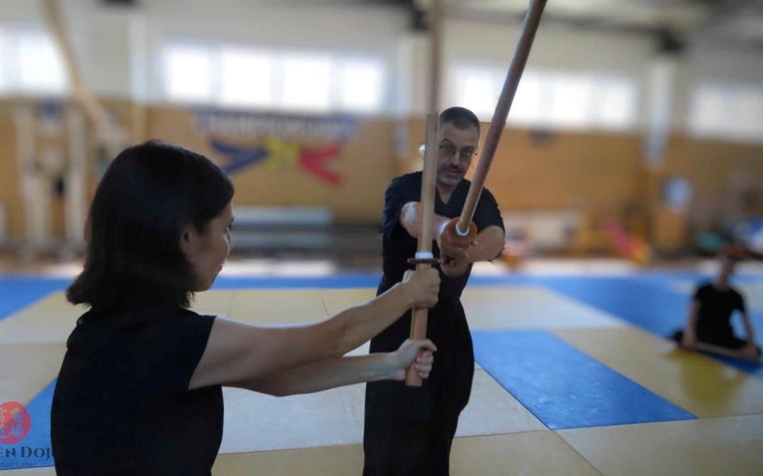 Din jurnalul unui ninja (5): primele două antrenamente cu sabie