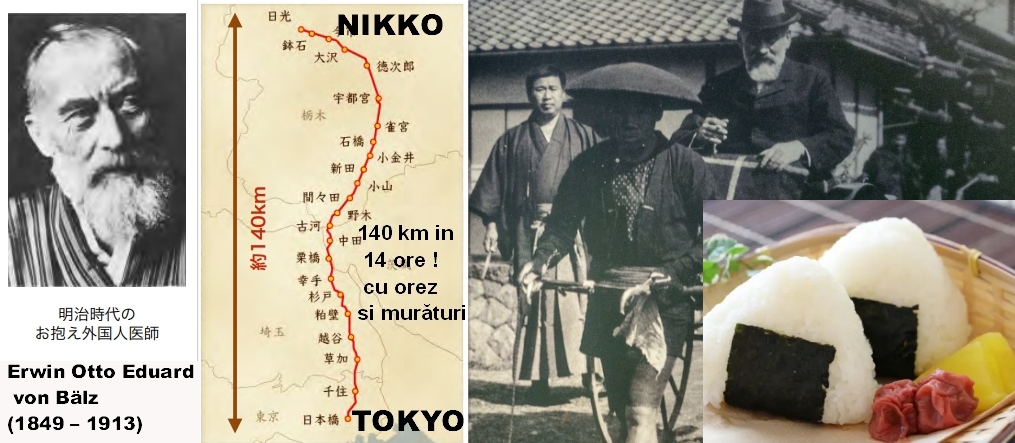 despre Performanta & Dieta samurailor (pagini din istoria a stiintei medicale in Japonia)