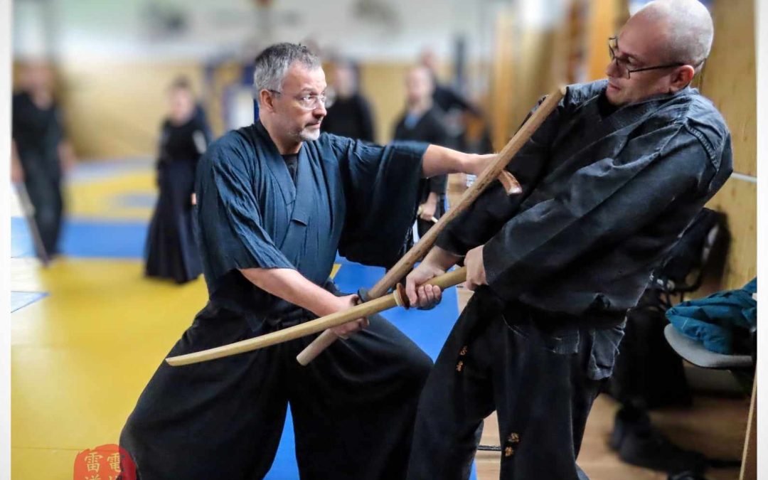 Din jurnalul unui ninja (47): „Pe urmele lui Musashi” – impresii după seminarul practic de Kenjutsu